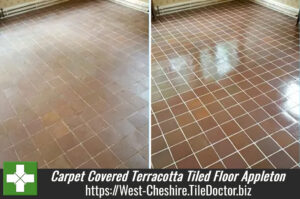 Restoring a Carpet Covered Terracotta Tiled Floor in Appleton