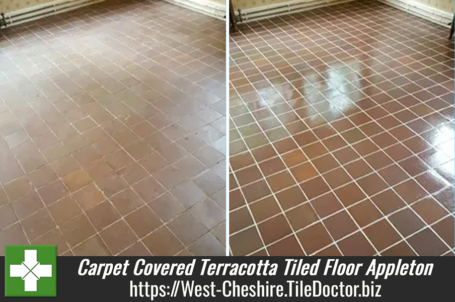 Restoring a Carpet Covered Terracotta Tiled Floor in Appleton